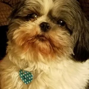 Meet your Posher, Rebecca